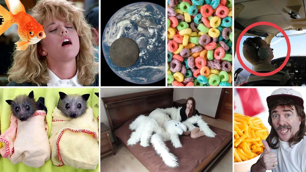 The Most Interesting Facts and Statistics Most People Don’t Know