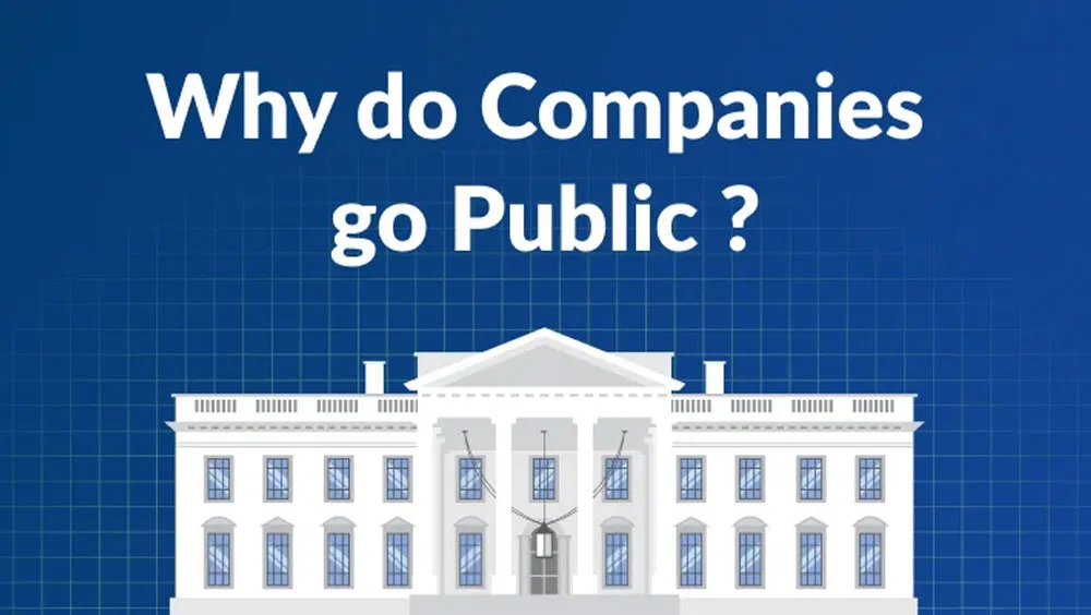 Why Do Companies Go Public?
