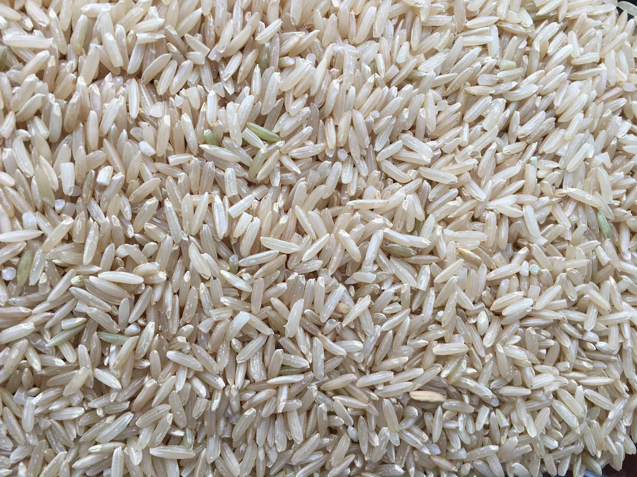 Wegmans Rice Recall: Investor Guide to Navigating Product Recall Risks