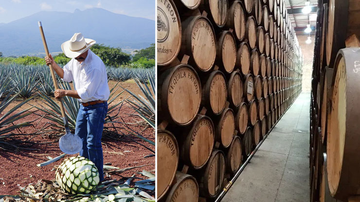 Tequila Stocks: What is the Best Tequila in Which to Invest?
