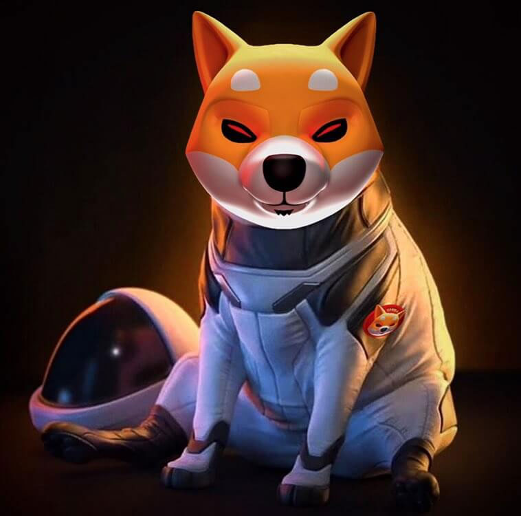 Shiba Inu Coin 2