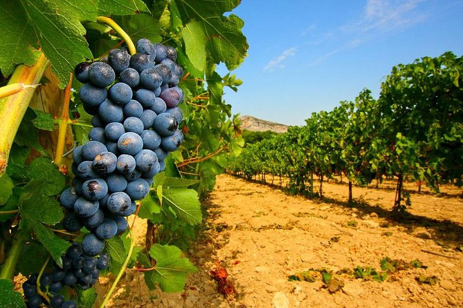 Investing in Wine What Consumers Need to Know in 2022 1