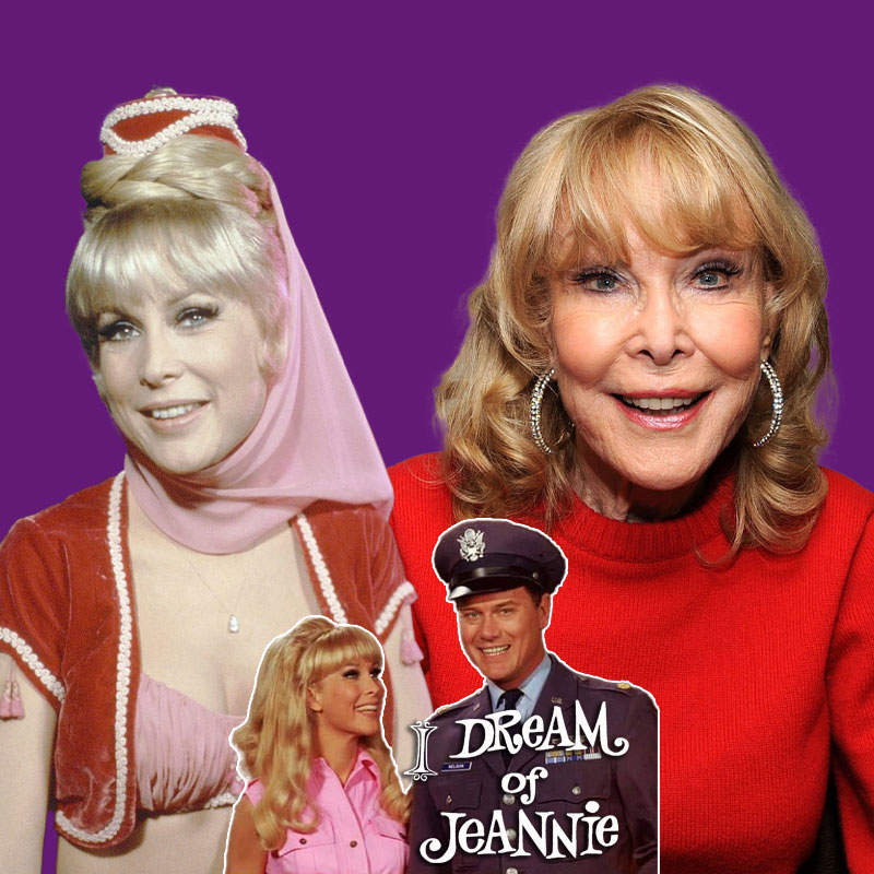 I Dream of Jeannie Barbara Eden