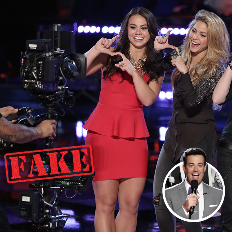 The Voice