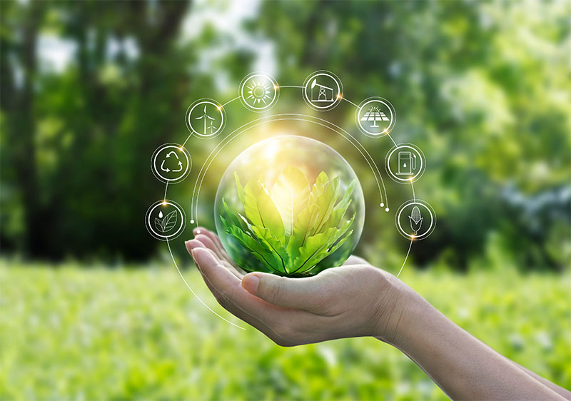 Sustainability Matters