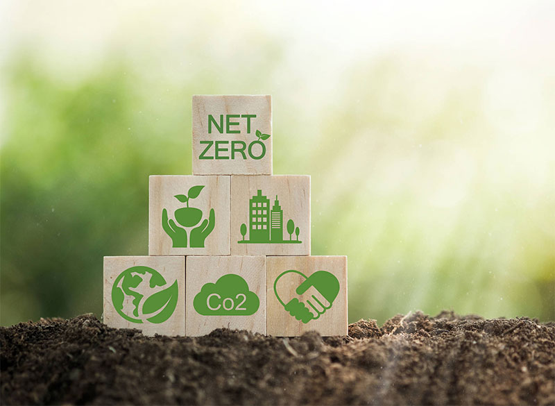 The Fund for a Sustainable Future