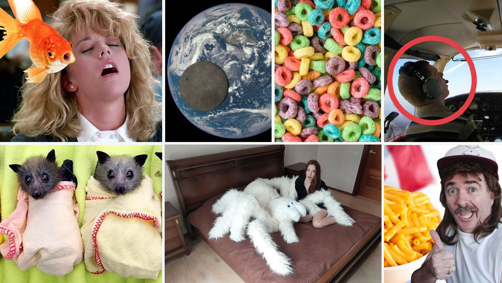 The Most Interesting Facts and Statistics Most People Don’t Know