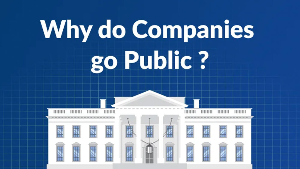 Why Do Companies Go Public?