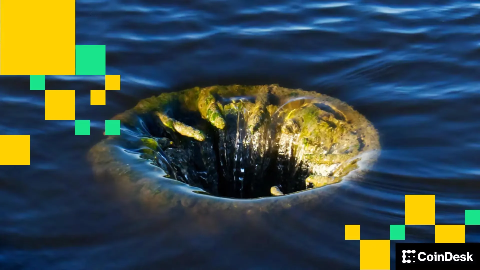 1769874452395_b7990c1aee6dc662da6a92e4675c895b7b28cf2b 1920x1080